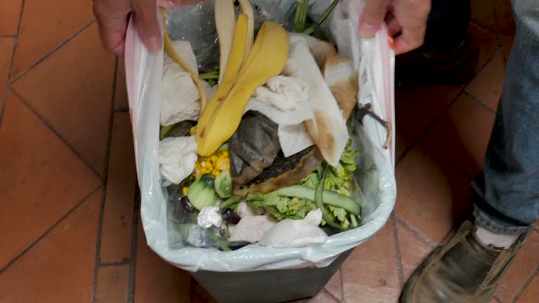 Trusted Marysville, WA Junk Removal Services Experts